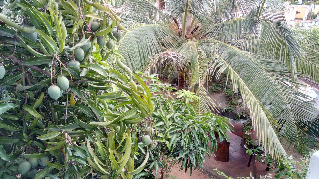 Sampathaa Residence Negombo Exteriör bild