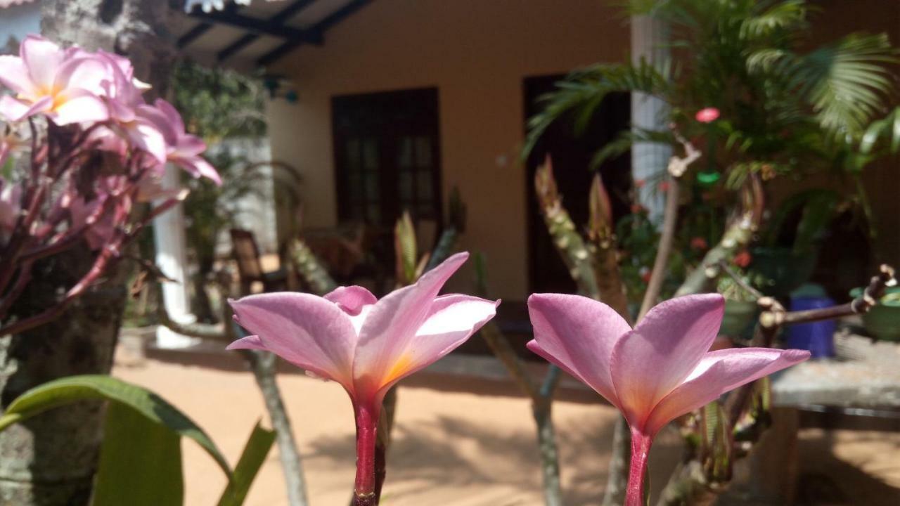 Sampathaa Residence Negombo Rum bild